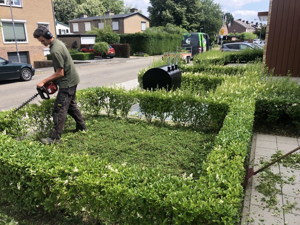 Hovenier van Hoveniersbedrijf Dennis Hermans snoeit een haag met een heggenschaar